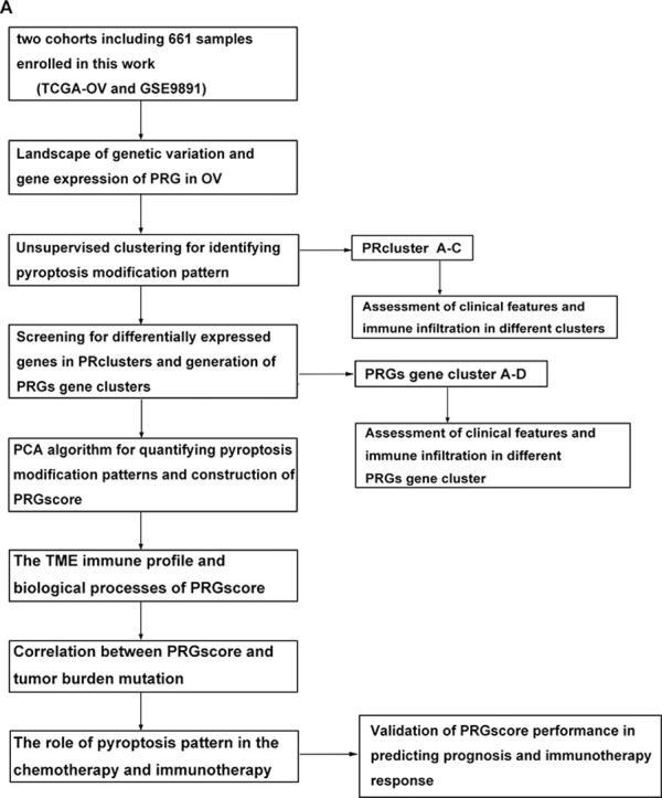 https://cdn.ncbi.nlm.nih.gov/pmc/blobs/a6ce/9535418/493103b09e73/ga1.jpg