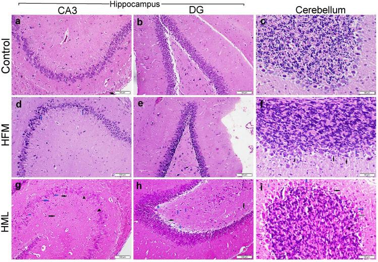https://cdn.ncbi.nlm.nih.gov/pmc/blobs/a6d2/9470636/c9824e1f822f/11064_2022_3654_Fig3_HTML.jpg