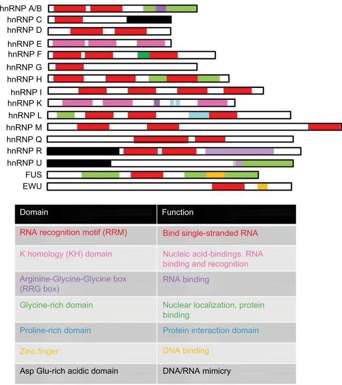 https://cdn.ncbi.nlm.nih.gov/pmc/blobs/a6d3/5354533/d93f2055187b/hiv-9-063Fig4.jpg