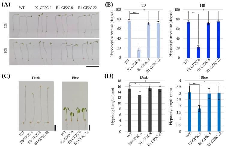 https://cdn.ncbi.nlm.nih.gov/pmc/blobs/a6d3/8747280/04ec99196522/plants-11-00065-g003.jpg