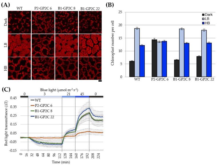https://cdn.ncbi.nlm.nih.gov/pmc/blobs/a6d3/8747280/3ad7b87a09df/plants-11-00065-g002.jpg