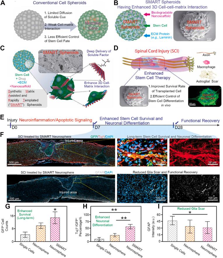 https://cdn.ncbi.nlm.nih.gov/pmc/blobs/a6d4/11179178/9d1ebc240e93/gr9.jpg