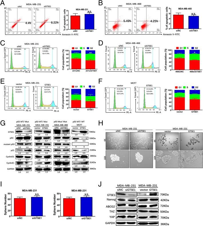 https://cdn.ncbi.nlm.nih.gov/pmc/blobs/a6d4/6454633/02f6ffd40404/13046_2019_1157_Fig7_HTML.jpg