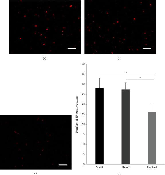 https://cdn.ncbi.nlm.nih.gov/pmc/blobs/a6d4/8285204/10c7b07b57f0/SCI2021-9964877.006.jpg