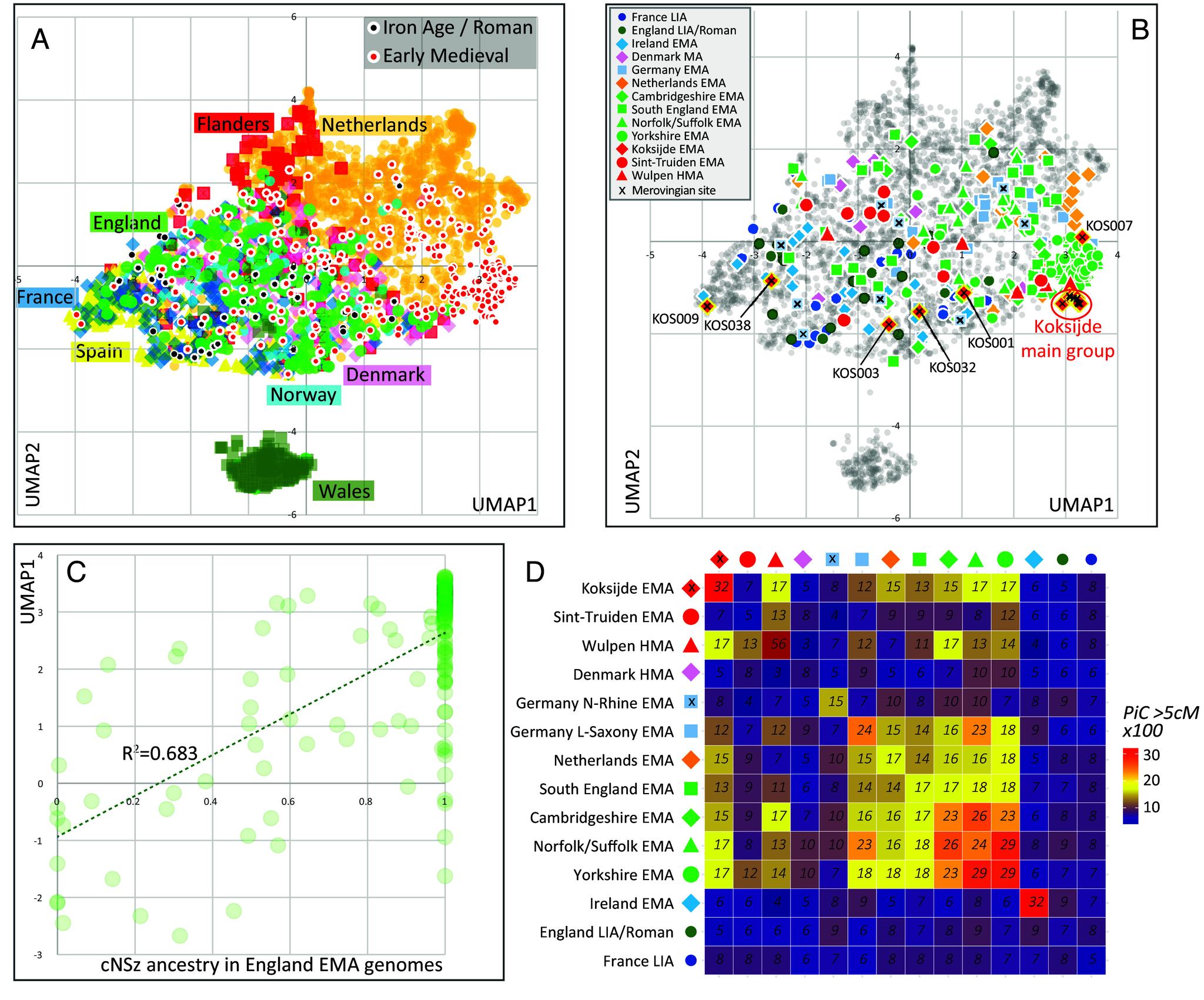 https://cdn.ncbi.nlm.nih.gov/pmc/blobs/a6d6/11228521/bb633f0811a4/pnas.2406734121fig02.jpg