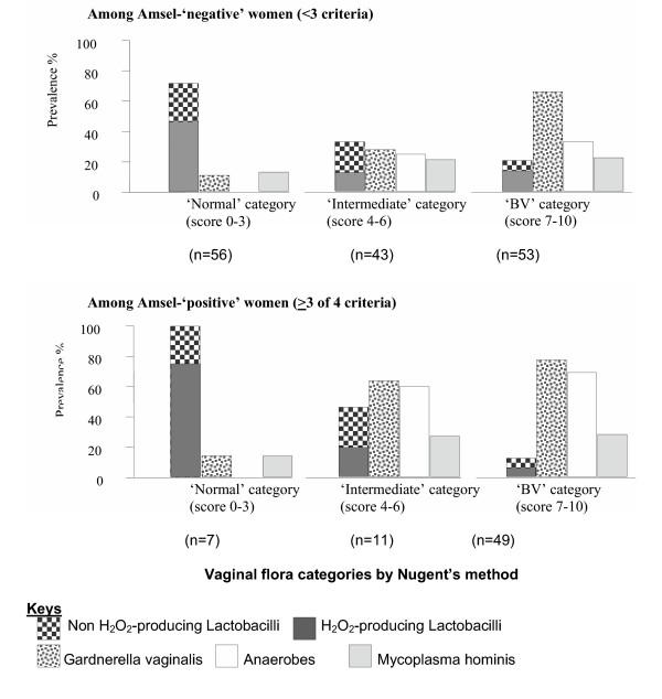 https://cdn.ncbi.nlm.nih.gov/pmc/blobs/a6d9/1083415/0fe5c254c195/1471-2334-5-12-1.jpg