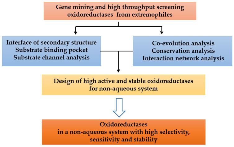 https://cdn.ncbi.nlm.nih.gov/pmc/blobs/a6da/10094897/cb35078332a1/ijms-24-06396-g001.jpg