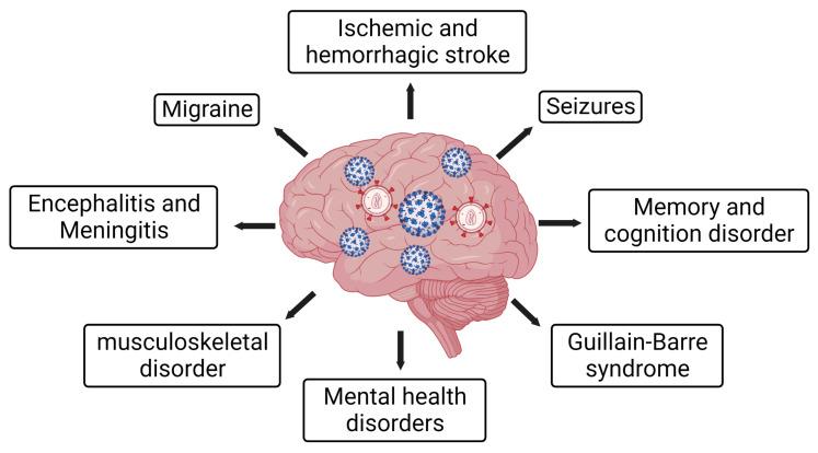https://cdn.ncbi.nlm.nih.gov/pmc/blobs/a6de/10223371/4a2036a0c169/viruses-15-01117-g001.jpg