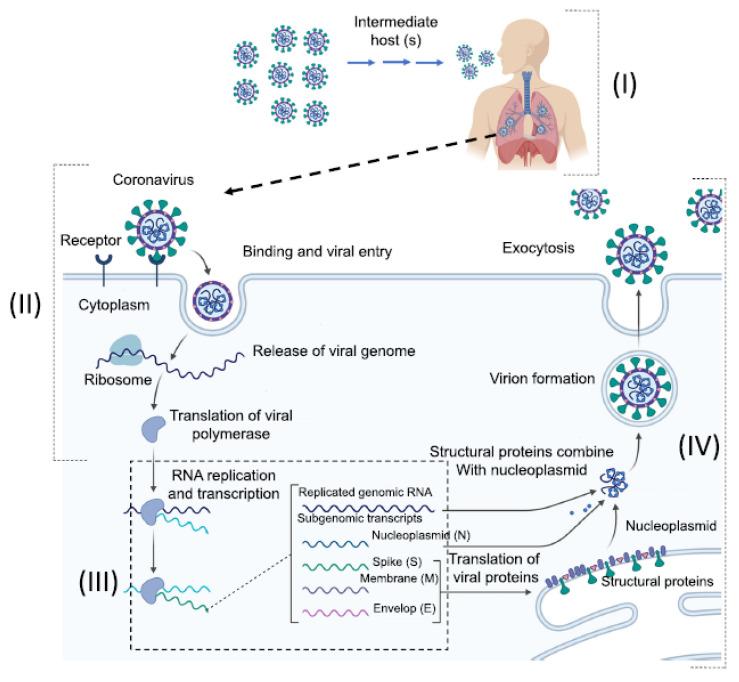 https://cdn.ncbi.nlm.nih.gov/pmc/blobs/a6de/7698809/214002bd107a/sensors-20-06591-g004.jpg