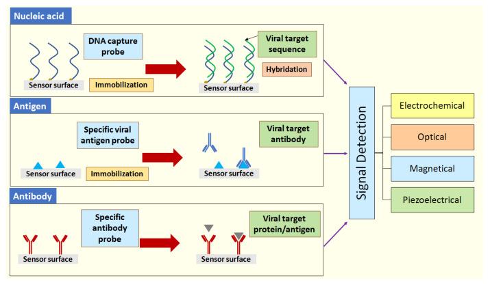 https://cdn.ncbi.nlm.nih.gov/pmc/blobs/a6de/7698809/690902ba7ed6/sensors-20-06591-g006.jpg