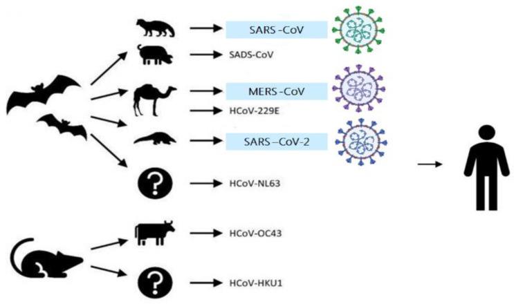 https://cdn.ncbi.nlm.nih.gov/pmc/blobs/a6de/7698809/eb766f5a698c/sensors-20-06591-g001.jpg