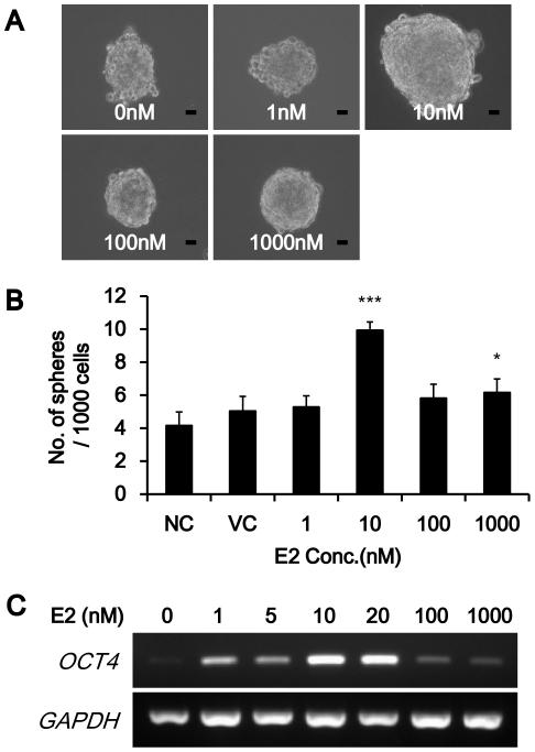 https://cdn.ncbi.nlm.nih.gov/pmc/blobs/a6df/3223228/9b27e5b41295/pone.0028068.g002.jpg
