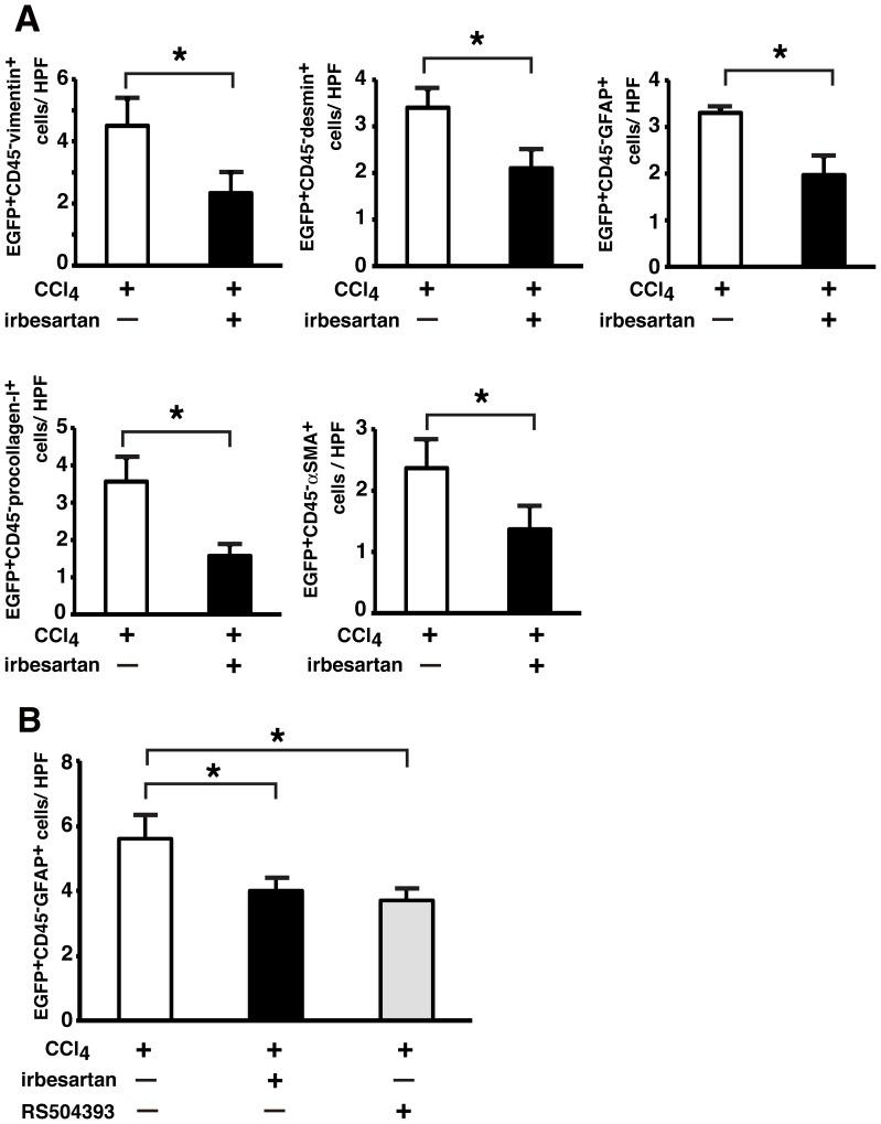 https://cdn.ncbi.nlm.nih.gov/pmc/blobs/a6df/3885670/4ec85886d0ba/pone.0084889.g006.jpg