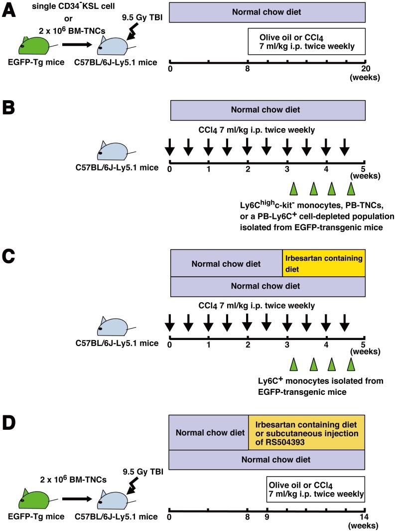 https://cdn.ncbi.nlm.nih.gov/pmc/blobs/a6df/3885670/af778980b2d9/pone.0084889.g001.jpg