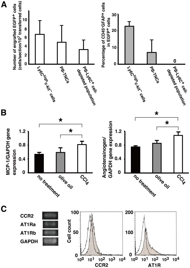 https://cdn.ncbi.nlm.nih.gov/pmc/blobs/a6df/3885670/e85ea5b3b680/pone.0084889.g003.jpg
