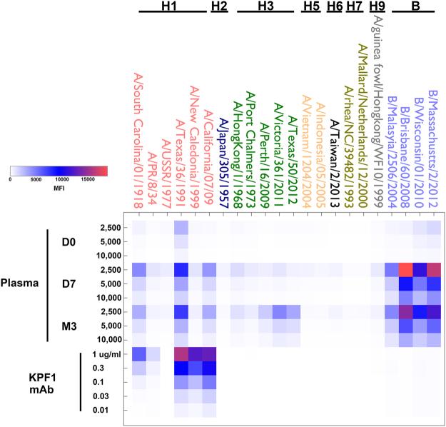 https://cdn.ncbi.nlm.nih.gov/pmc/blobs/a6df/5847613/d6e82f7b34a8/41598_2018_22307_Fig3_HTML.jpg