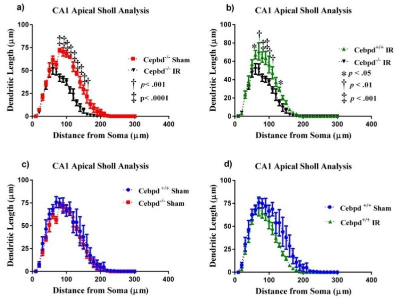 https://cdn.ncbi.nlm.nih.gov/pmc/blobs/a6e0/6412914/c560fc5e5c37/ijms-20-00885-g004.jpg