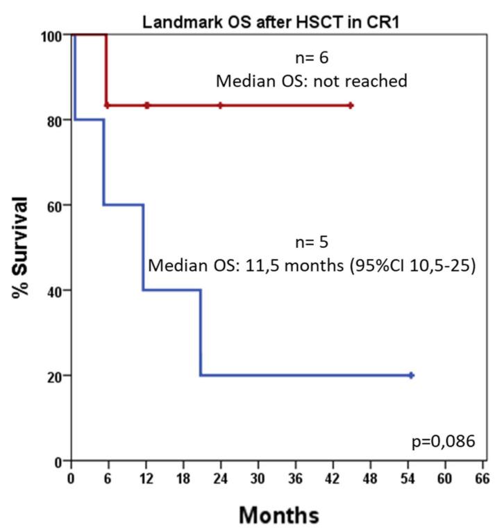 https://cdn.ncbi.nlm.nih.gov/pmc/blobs/a6e1/12294857/51e216d29d6d/jcm-14-05110-g004.jpg