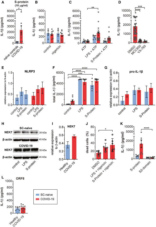 https://cdn.ncbi.nlm.nih.gov/pmc/blobs/a6e2/8350892/1b9799c6a1c9/EMMM-13-e14150-g014.jpg