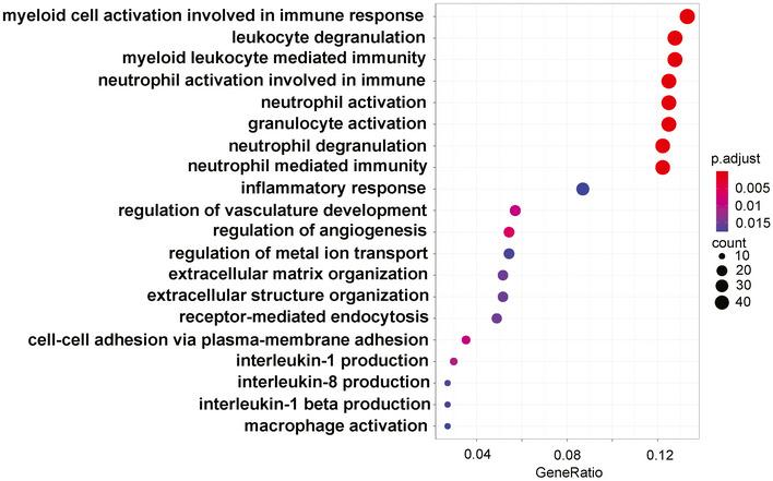 https://cdn.ncbi.nlm.nih.gov/pmc/blobs/a6e2/8350892/cb6cc61ea396/EMMM-13-e14150-g002.jpg