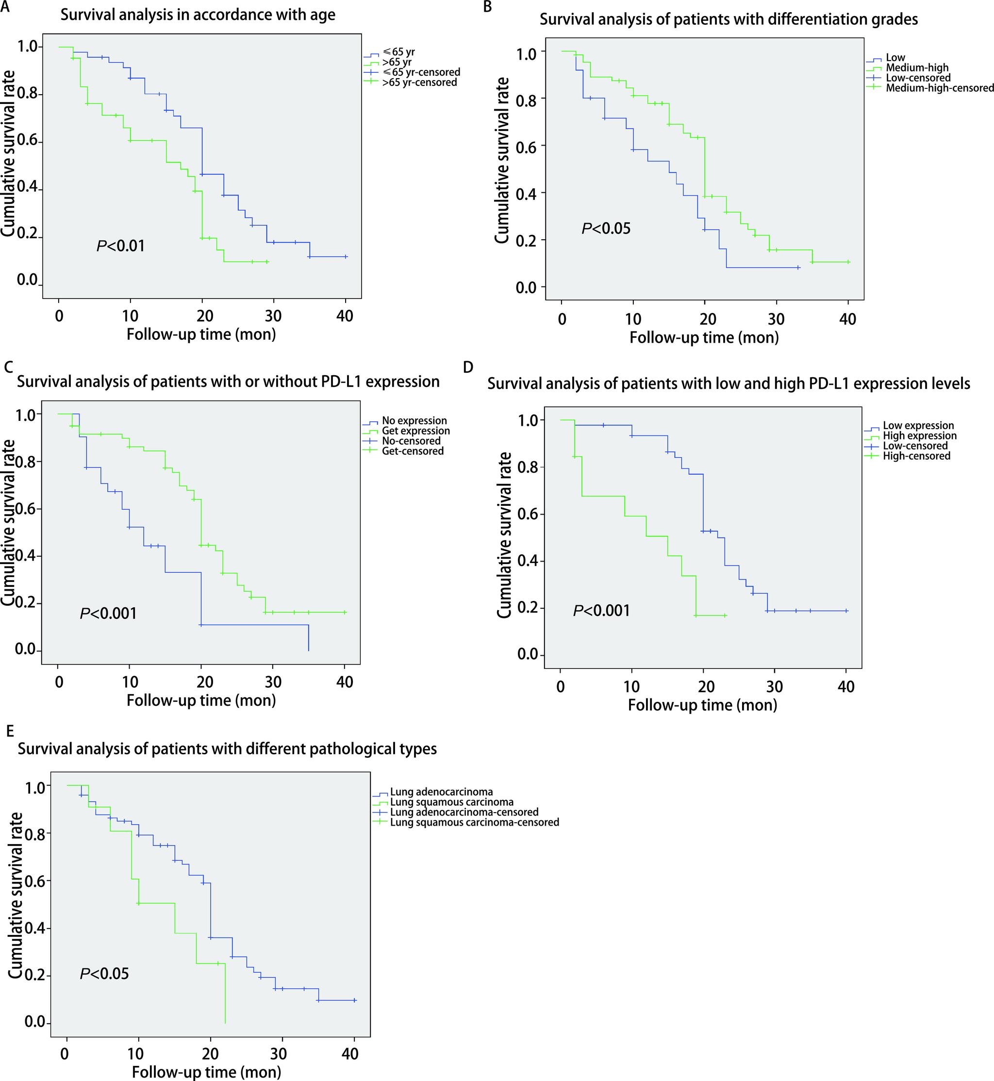 https://cdn.ncbi.nlm.nih.gov/pmc/blobs/a6e3/8503982/73844d52d2a5/zgfazz-24-9-623-2.jpg