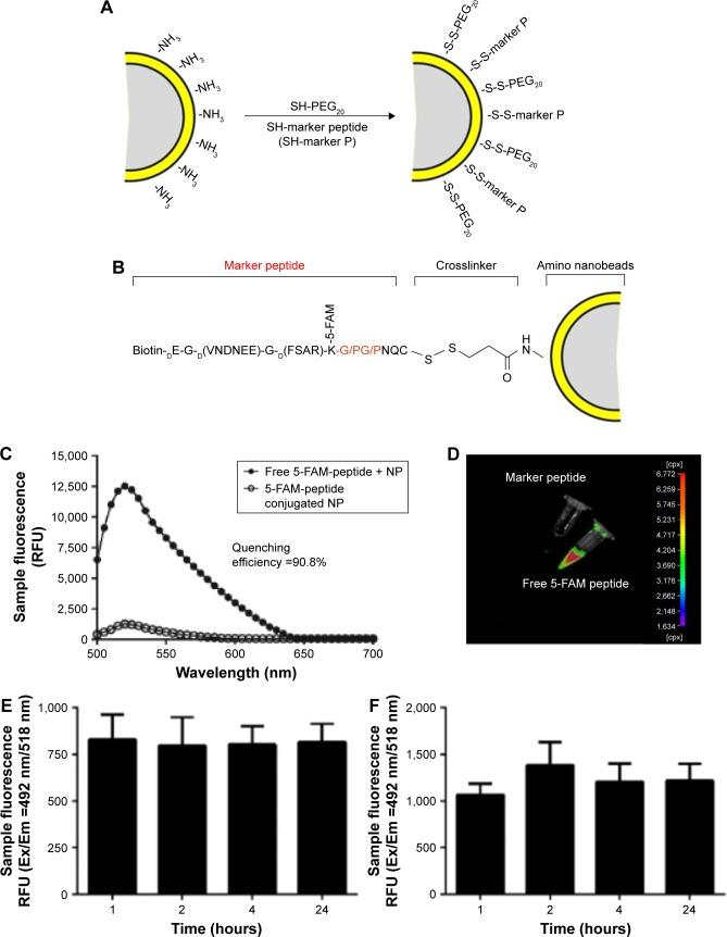 https://cdn.ncbi.nlm.nih.gov/pmc/blobs/a6e4/5538687/fca6f11b3687/ijn-12-5359Fig1.jpg