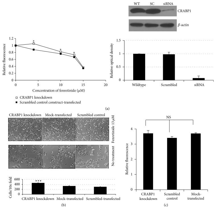 https://cdn.ncbi.nlm.nih.gov/pmc/blobs/a6e6/4710897/a964159fcc02/OMCL2016-7568287.003.jpg