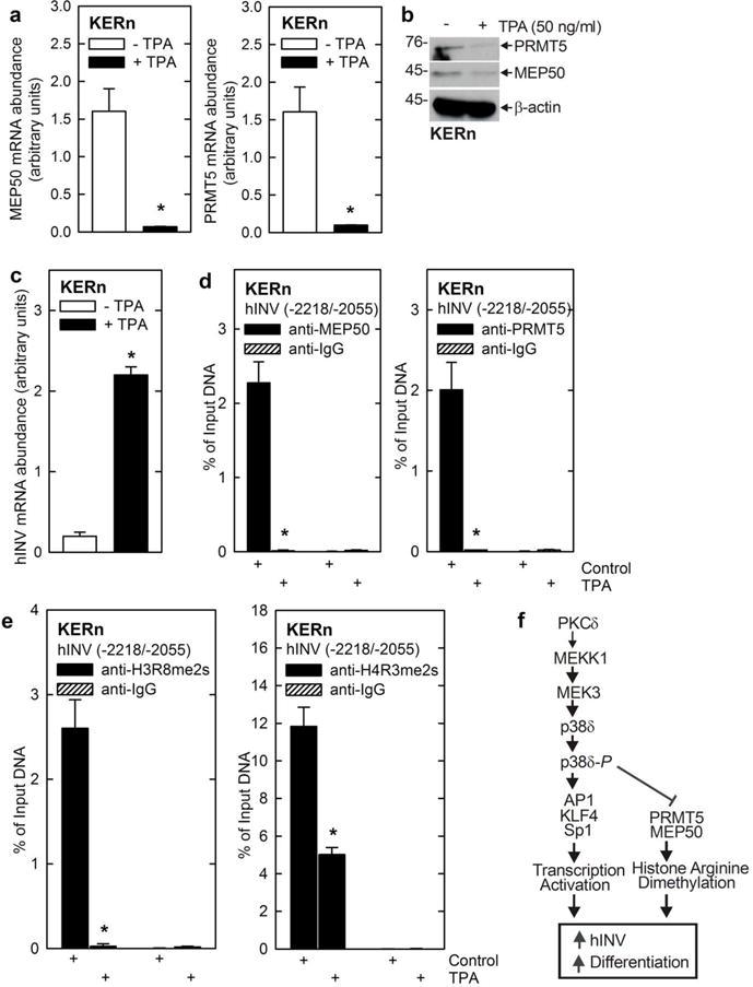 https://cdn.ncbi.nlm.nih.gov/pmc/blobs/a6e6/4899982/6c6e2e536245/nihms728490f6.jpg