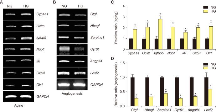 https://cdn.ncbi.nlm.nih.gov/pmc/blobs/a6e6/7801162/ba145bae6453/icu-62-90-g005.jpg