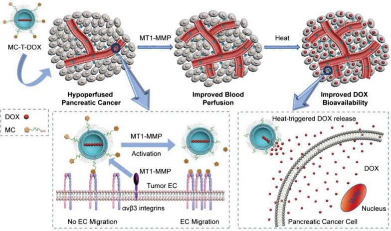 https://cdn.ncbi.nlm.nih.gov/pmc/blobs/a6e7/8607729/2d8a87537981/12951_2021_1134_Fig5_HTML.jpg