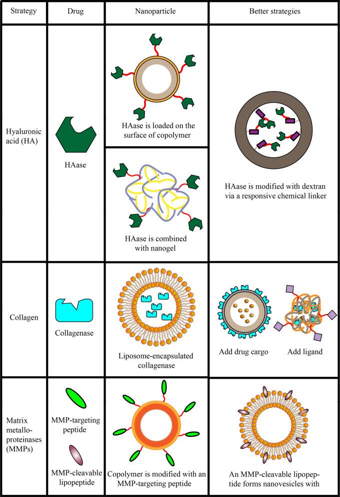 https://cdn.ncbi.nlm.nih.gov/pmc/blobs/a6e7/8607729/9aeedf230ade/12951_2021_1134_Fig2_HTML.jpg