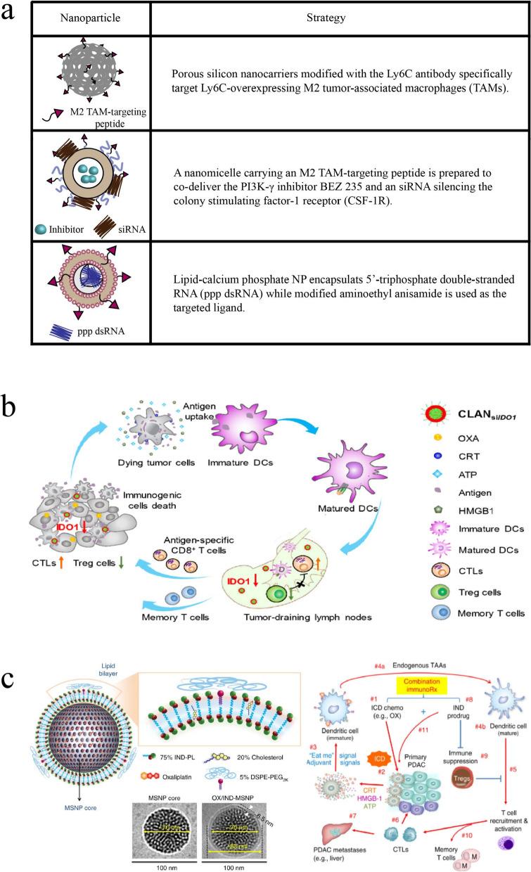 https://cdn.ncbi.nlm.nih.gov/pmc/blobs/a6e7/8607729/c373a4e5ce90/12951_2021_1134_Fig4_HTML.jpg
