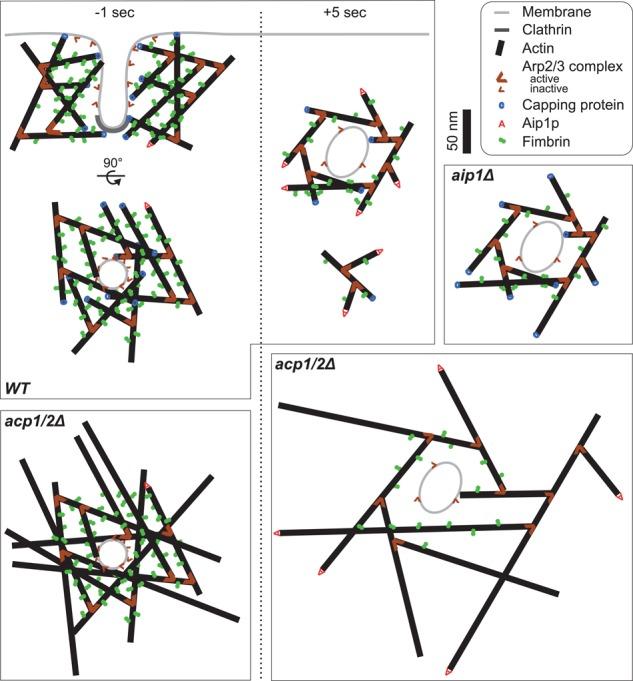 https://cdn.ncbi.nlm.nih.gov/pmc/blobs/a6e8/4230613/962cda3f1e16/3515fig7.jpg