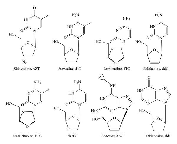 https://cdn.ncbi.nlm.nih.gov/pmc/blobs/a6e9/3388302/a5024bae5d50/MBI2012-586401.003.jpg