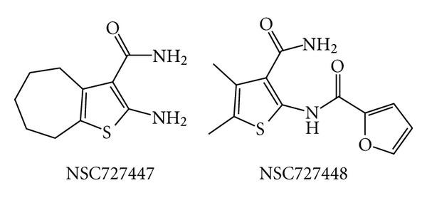 https://cdn.ncbi.nlm.nih.gov/pmc/blobs/a6e9/3388302/be171efdb55d/MBI2012-586401.016.jpg
