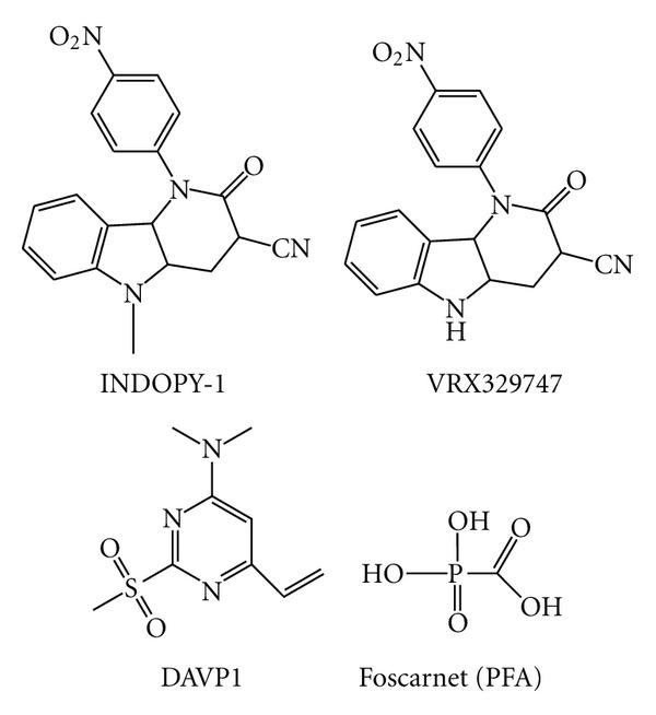 https://cdn.ncbi.nlm.nih.gov/pmc/blobs/a6e9/3388302/ec927c7a64ab/MBI2012-586401.013.jpg