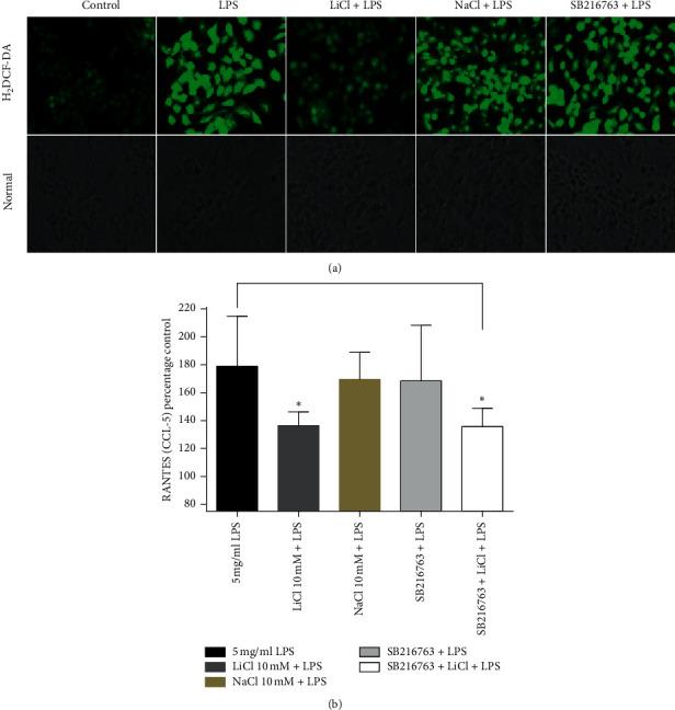 https://cdn.ncbi.nlm.nih.gov/pmc/blobs/a6ec/7397420/ca056413e171/IJI2020-8340195.011.jpg