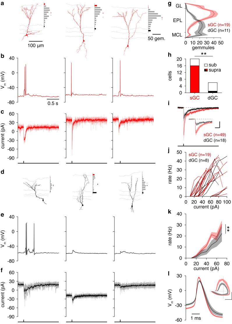 https://cdn.ncbi.nlm.nih.gov/pmc/blobs/a6ed/4972542/4536e073cc59/elife-16039-fig4.jpg