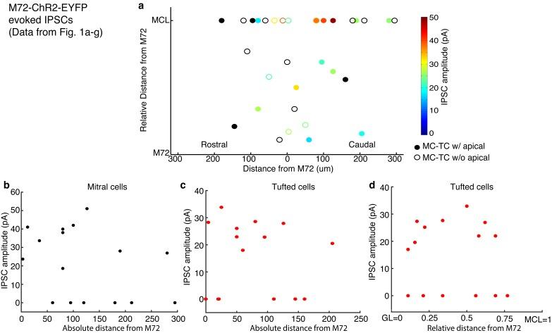https://cdn.ncbi.nlm.nih.gov/pmc/blobs/a6ed/4972542/ac580892a483/elife-16039-fig1-figsupp1.jpg