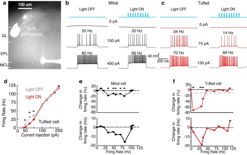 https://cdn.ncbi.nlm.nih.gov/pmc/blobs/a6ed/4972542/bee0e895cb3a/elife-16039-fig2.jpg