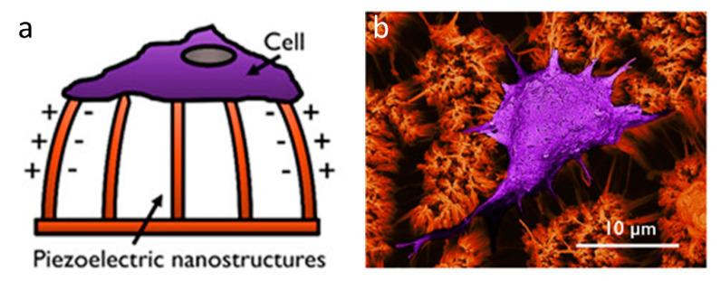 https://cdn.ncbi.nlm.nih.gov/pmc/blobs/a6ee/7584018/2ad27a4bd214/sensors-20-05605-g008.jpg