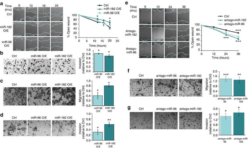 https://cdn.ncbi.nlm.nih.gov/pmc/blobs/a6f0/5031803/1bc01533512b/ncomms12868-f3.jpg