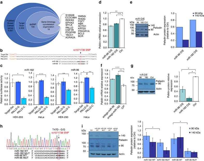 https://cdn.ncbi.nlm.nih.gov/pmc/blobs/a6f0/5031803/1de2c946b88b/ncomms12868-f2.jpg