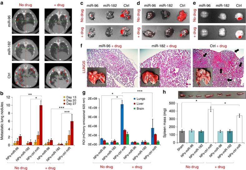 https://cdn.ncbi.nlm.nih.gov/pmc/blobs/a6f0/5031803/a993d17ffd29/ncomms12868-f7.jpg