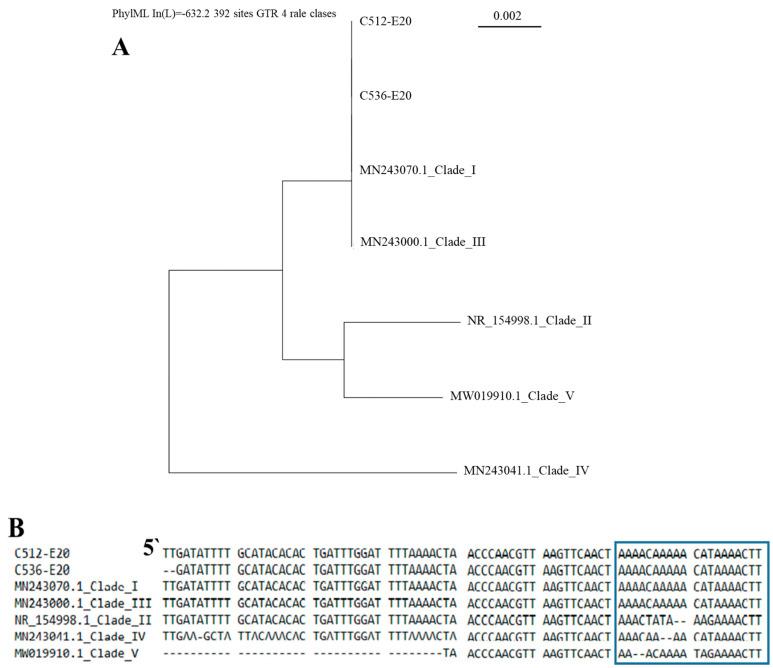 https://cdn.ncbi.nlm.nih.gov/pmc/blobs/a6f1/11766443/65bc929d344e/jof-11-00035-g001.jpg