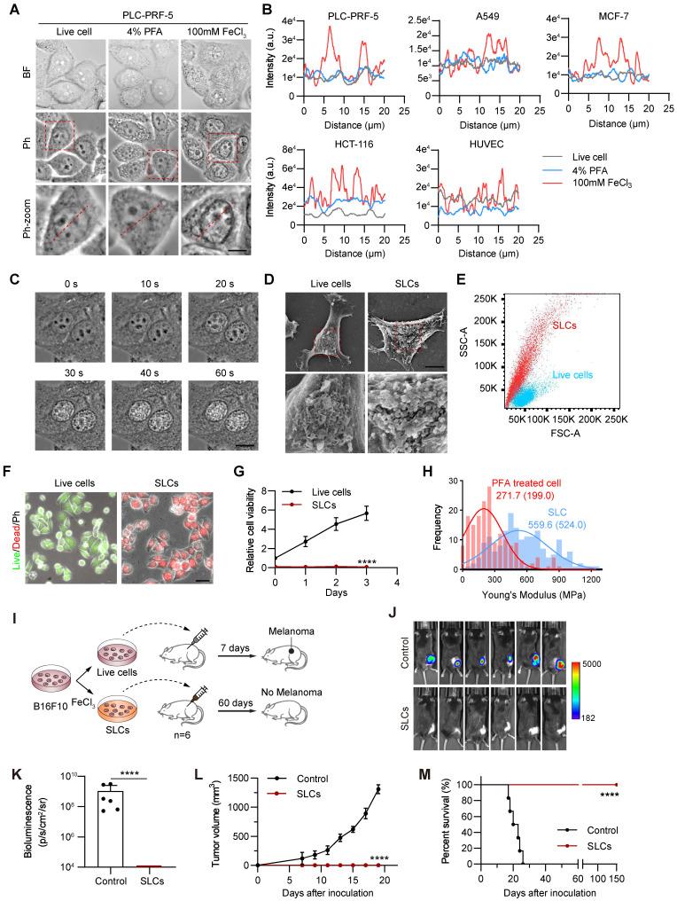 https://cdn.ncbi.nlm.nih.gov/pmc/blobs/a6f1/12036876/aeb1f2c5848e/thnov15p5358g001.jpg