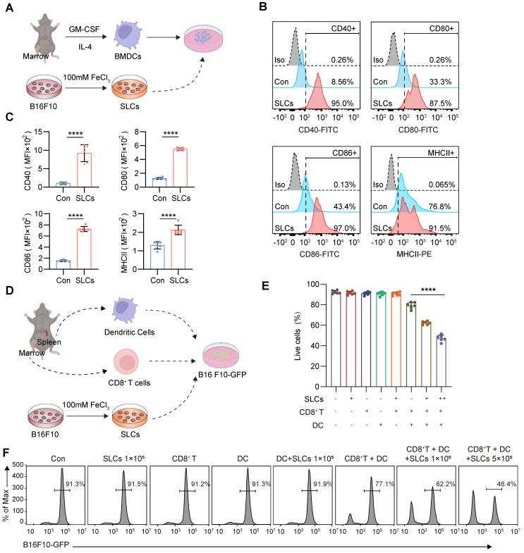 https://cdn.ncbi.nlm.nih.gov/pmc/blobs/a6f1/12036876/df9b55d065d4/thnov15p5358g003.jpg