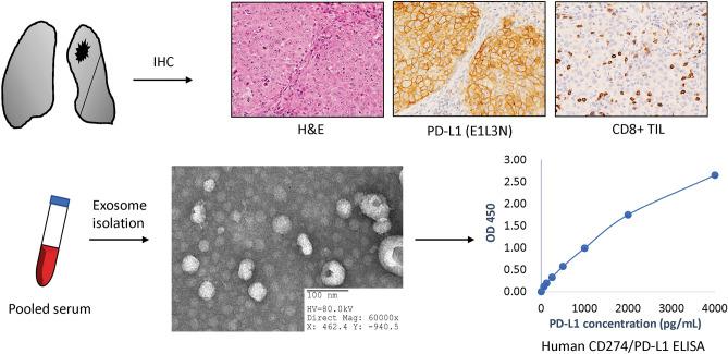 https://cdn.ncbi.nlm.nih.gov/pmc/blobs/a6f1/8035184/e63b5afa608d/41598_2021_87575_Fig1_HTML.jpg