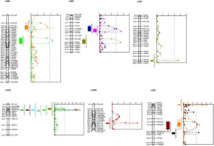 https://cdn.ncbi.nlm.nih.gov/pmc/blobs/a6f3/4993778/a95526f3437f/fpls-07-01174-g0003.jpg