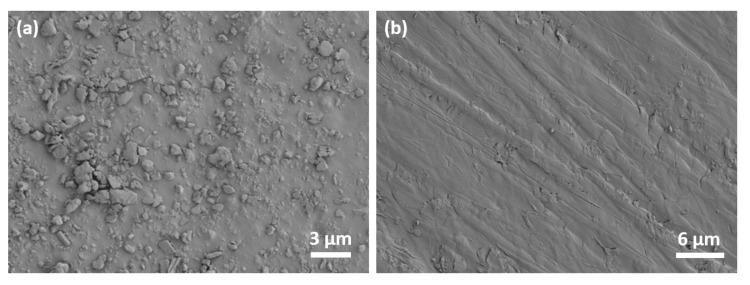 https://cdn.ncbi.nlm.nih.gov/pmc/blobs/a6f3/7559061/7ef825f957fc/nanomaterials-10-01682-g011.jpg